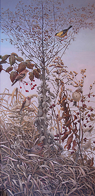 Nora Othic, Winter Weeds and Birds, watercolor