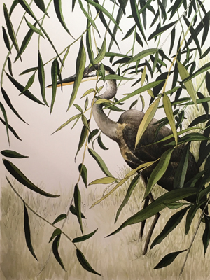 Cathy Gobberdiel, ink and acrylic paint, at Cathy Gregory